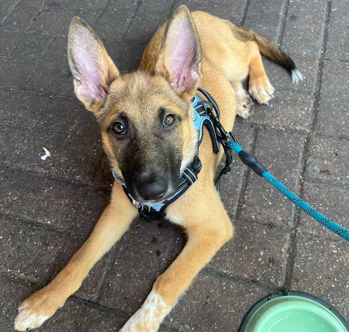 Photo of Finnegan