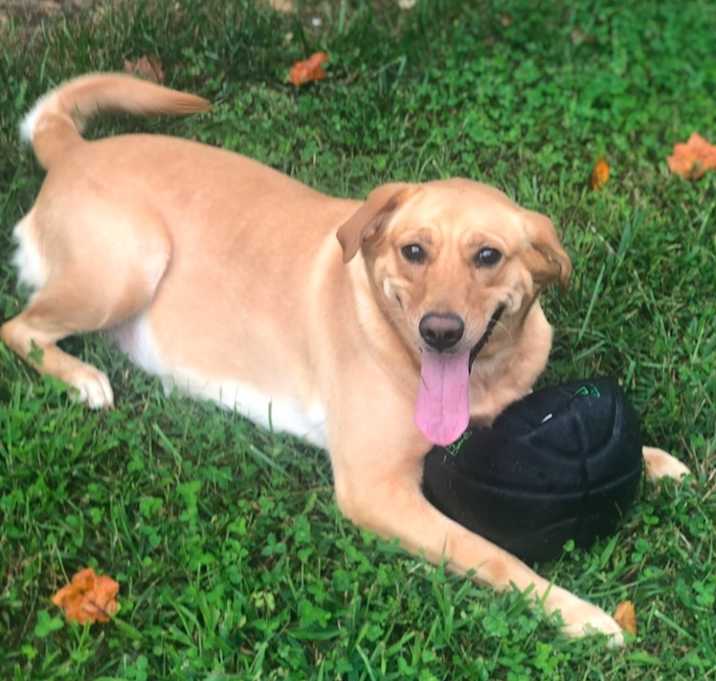 Photo of Maggie