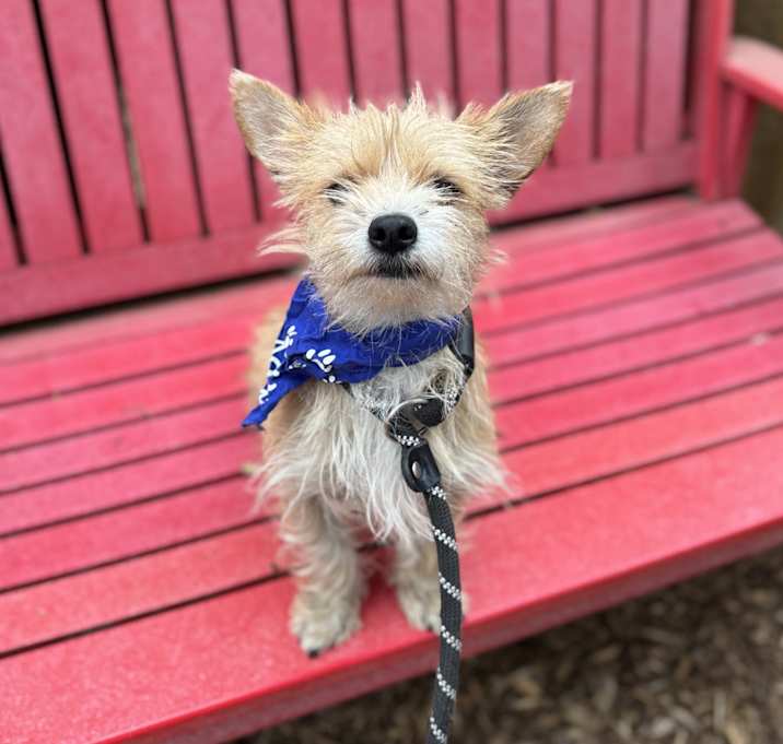 Photo of Waylon