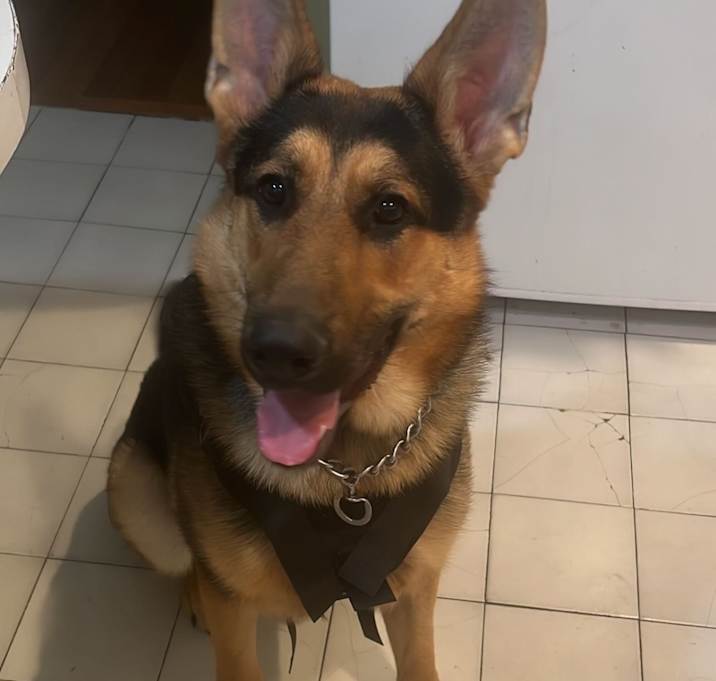 Photo of Zeus