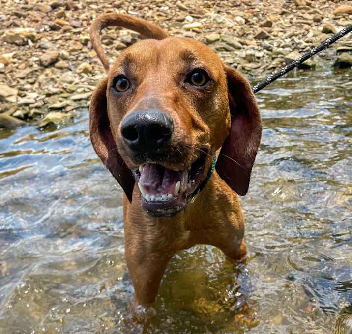 Photo of Maybel