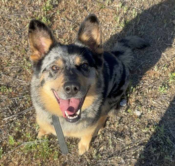 Photo of Blu