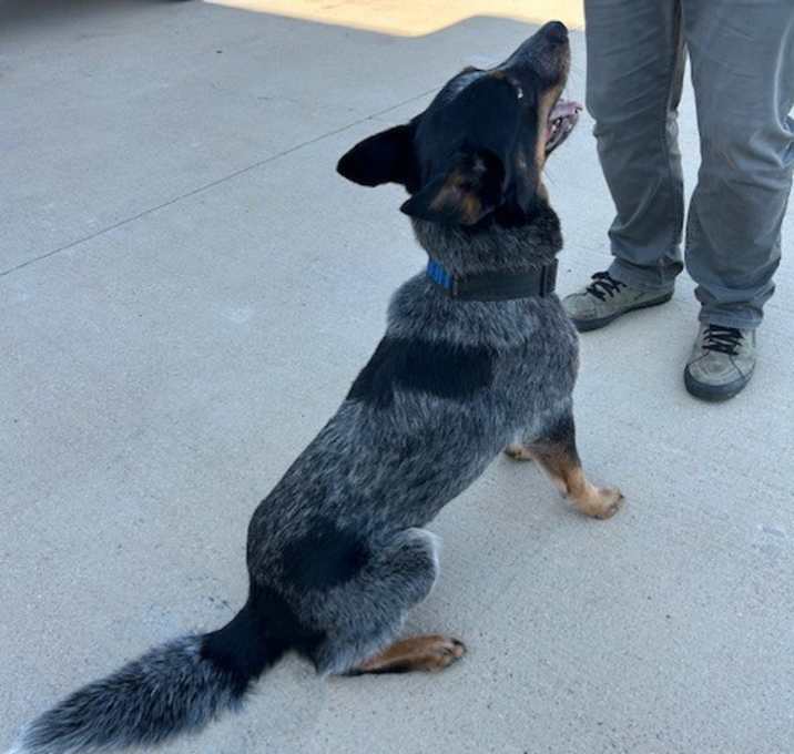Photo of Zeke