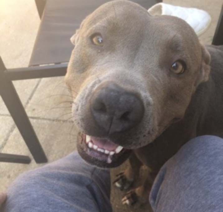 Photo of Blue