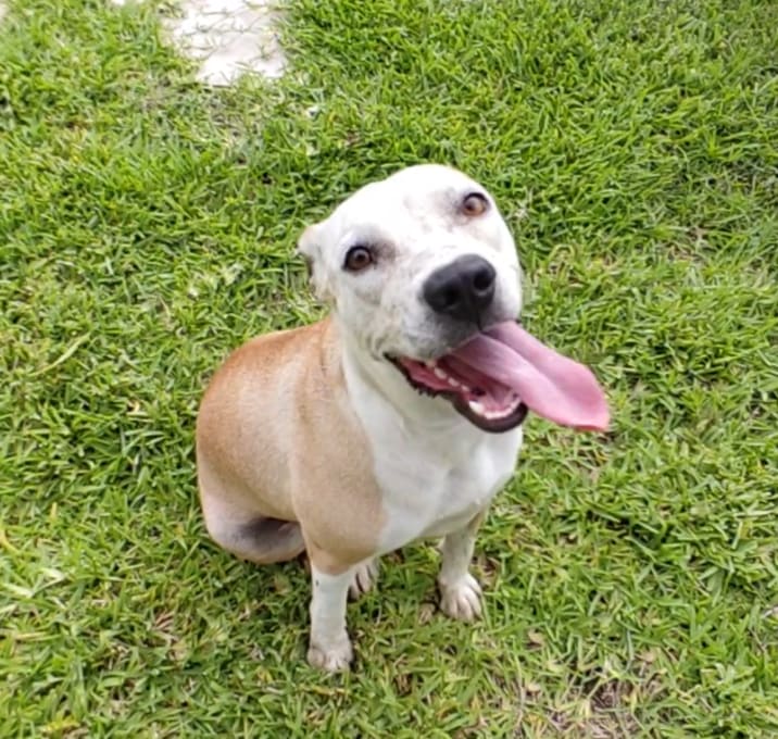 Photo of Leia