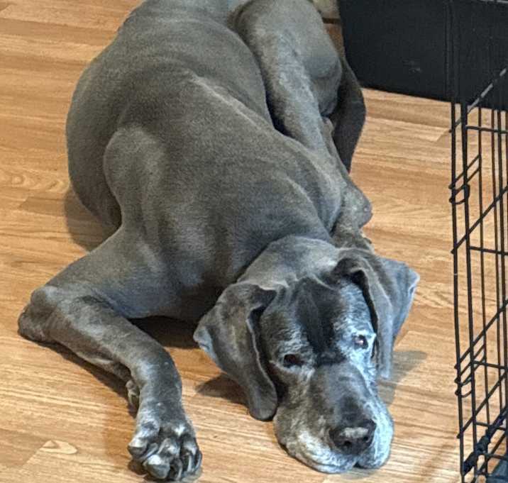 Photo of Annie