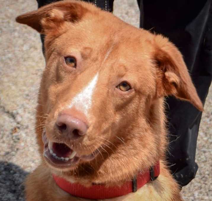 Photo of Clifford
