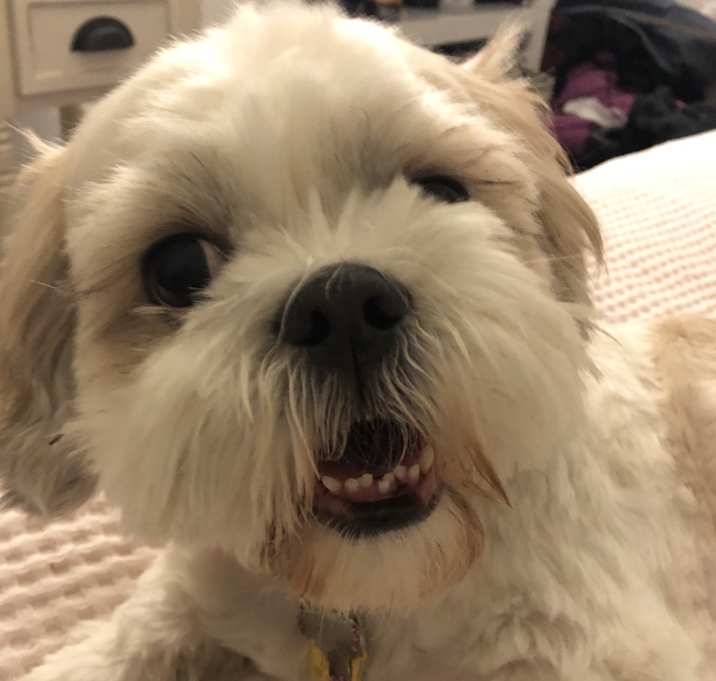 Photo of Penelope