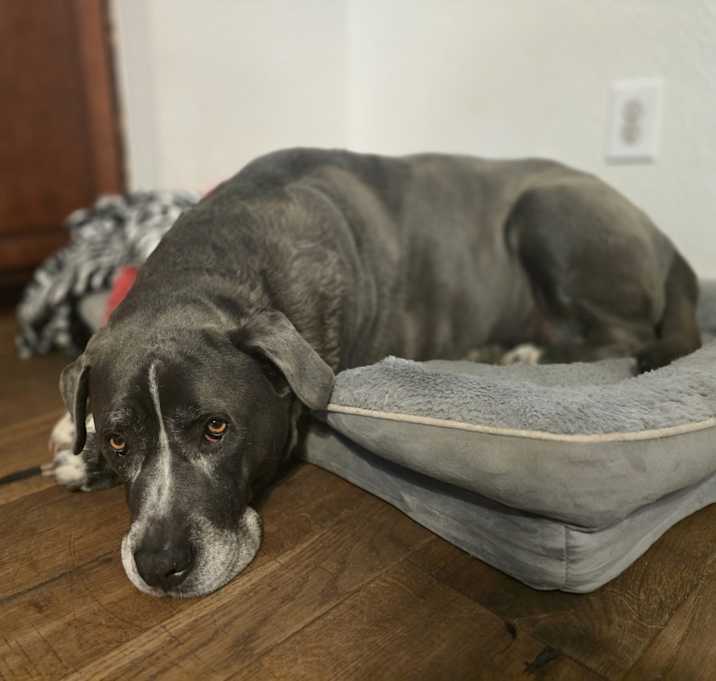 Photo of Tank