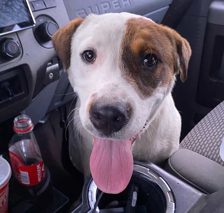 Photo of Buccee