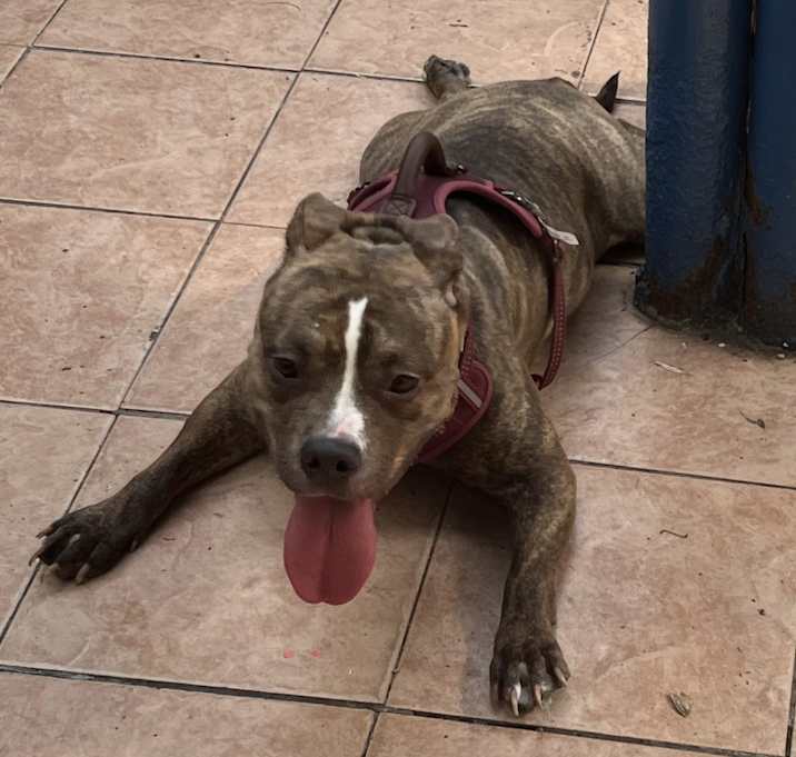 Photo of Hershey
