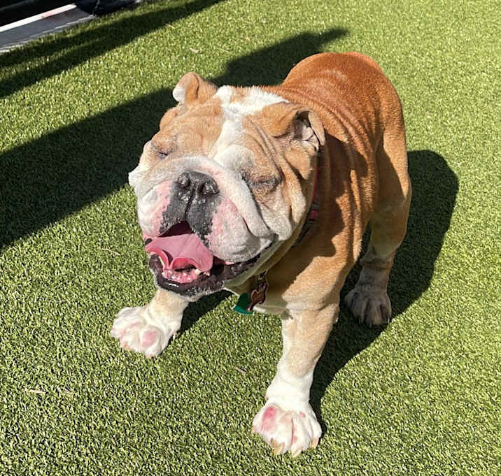Photo of Pablo