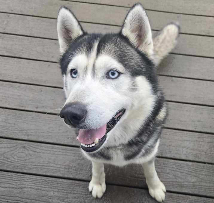 Photo of Max