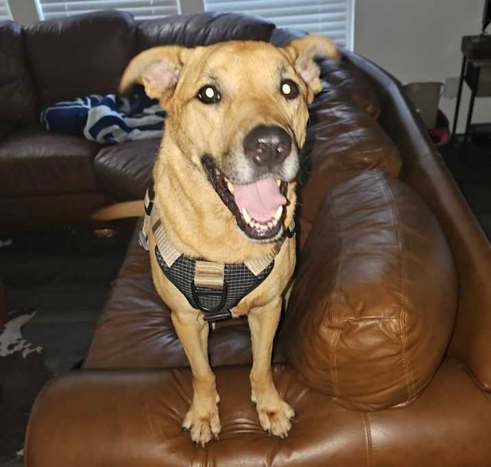 Photo of Bean
