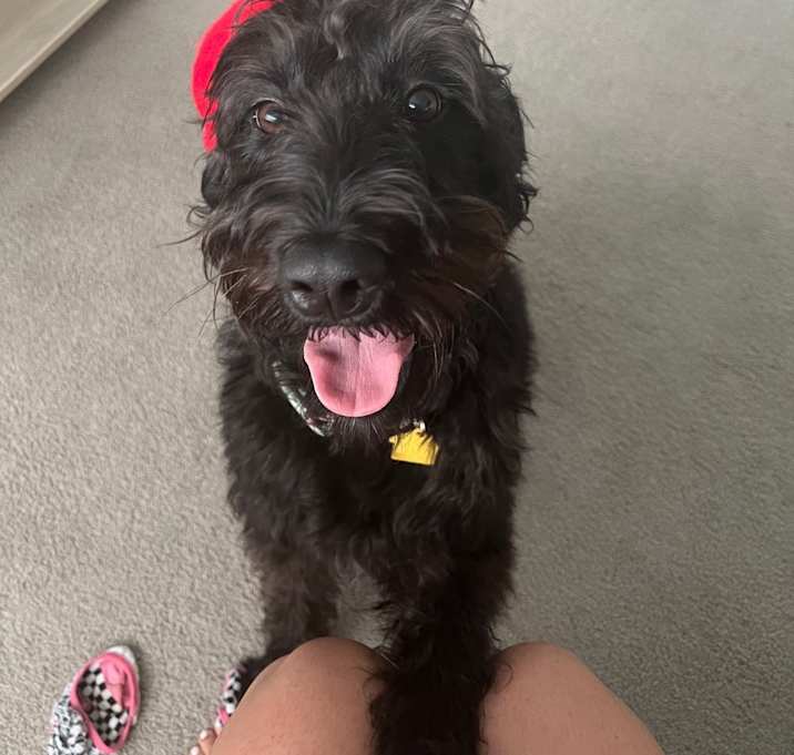 Photo of Daisy