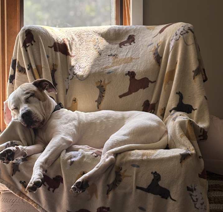 Photo of Jasper