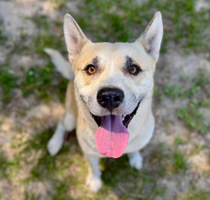 Photo of Silas