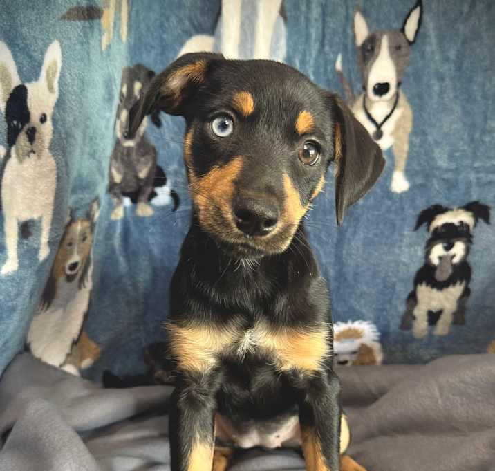 Photo of Gia