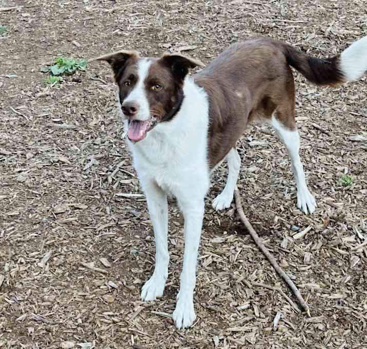 Photo of Maggie