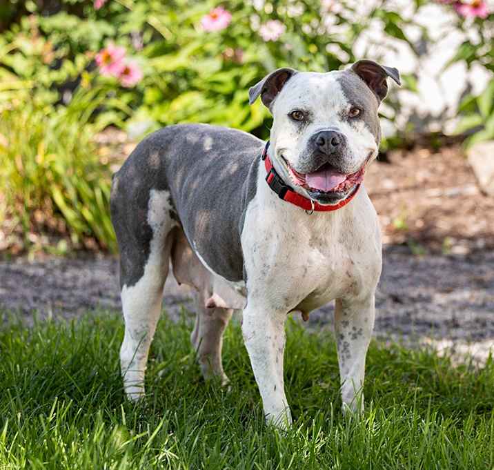 Photo of Lola