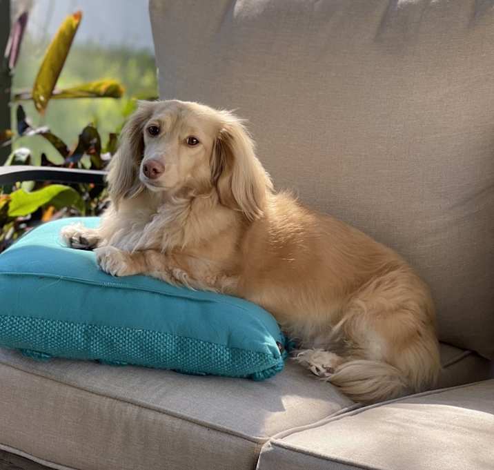 Photo of Kona