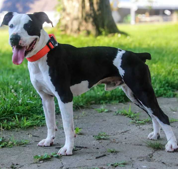 Photo of Zebco