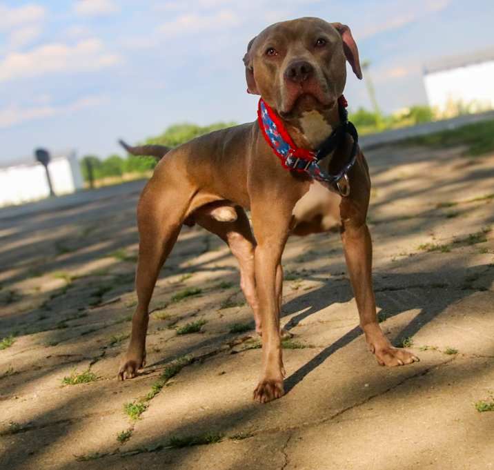Photo of Murdock