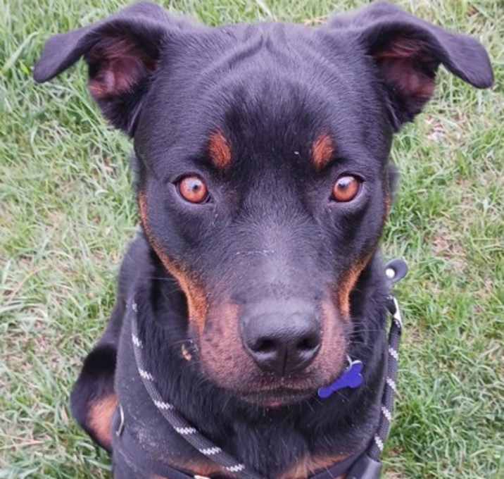 Photo of Sadie Lou Who
