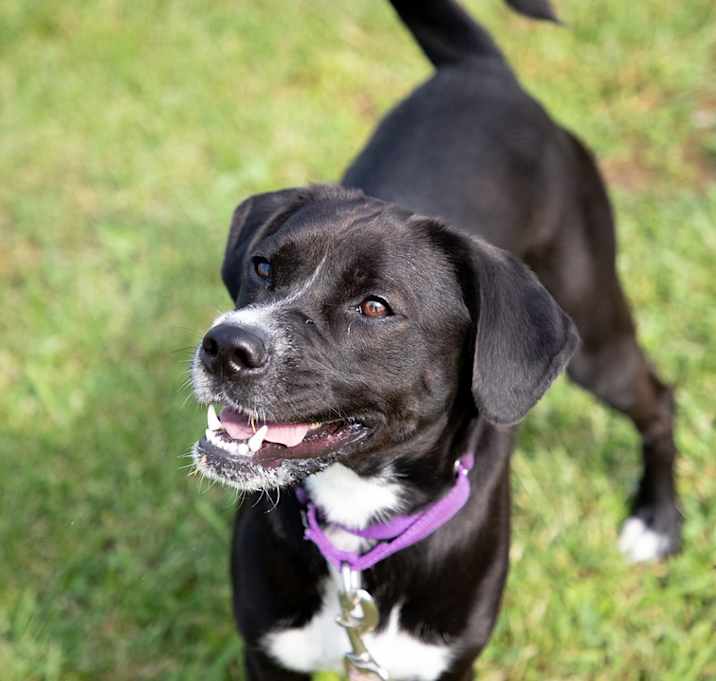 Photo of Knox