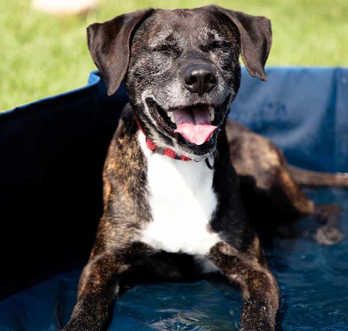 Photo of Jody