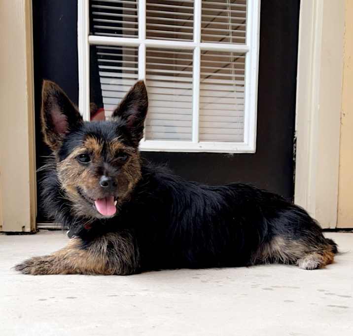 Photo of Jax
