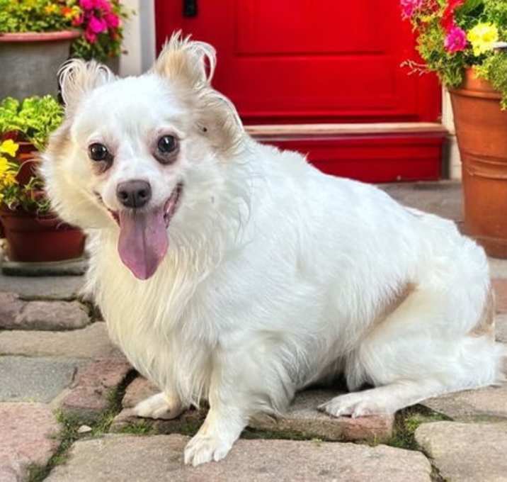 Photo of FABULOUS FINNEGAN