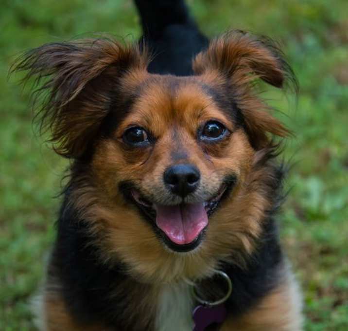 Photo of Izzy Marie