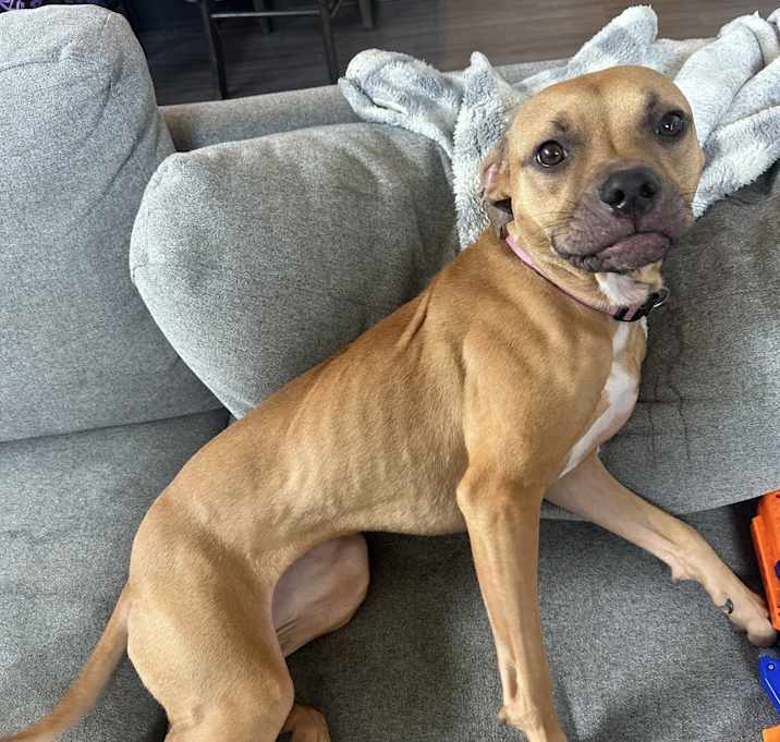 Photo of Freyja