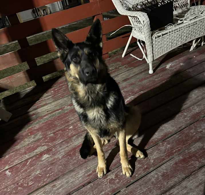 Photo of Bearclaw