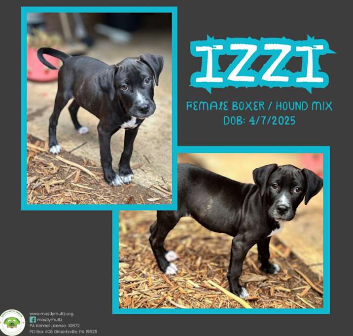 Photo of Izzi
