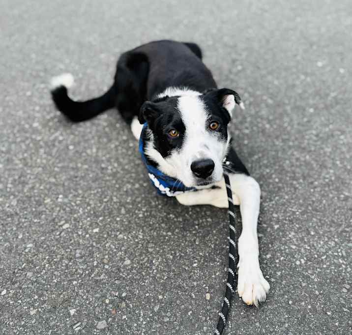 Photo of Fenton