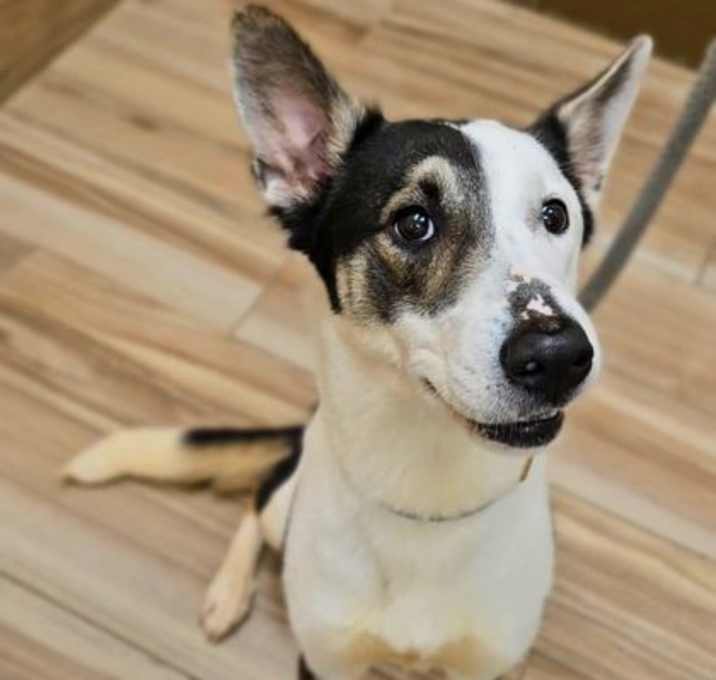 Photo of Ellie Mae