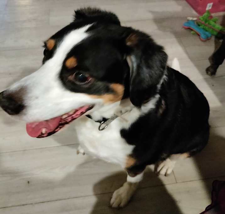 Photo of Yuri