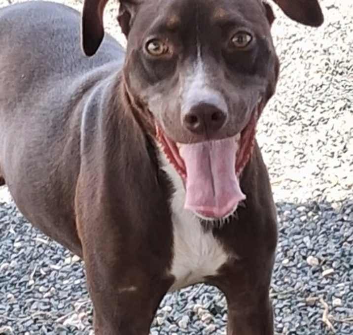 Photo of Gwen