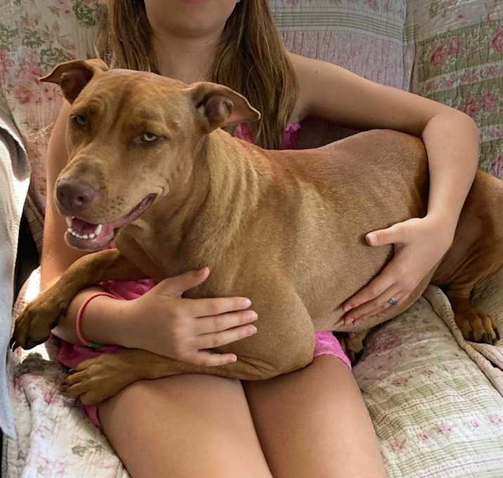 Photo of SIENNA