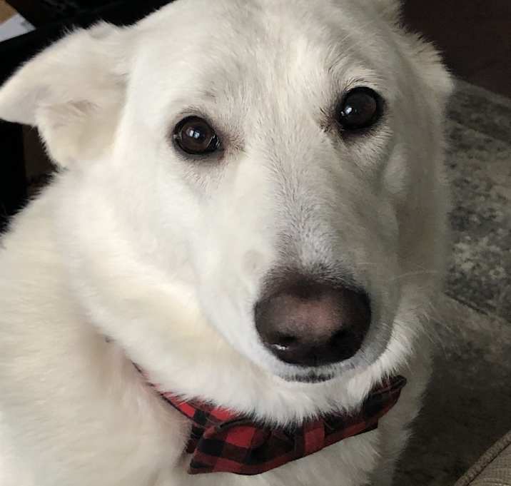 Photo of Ghost