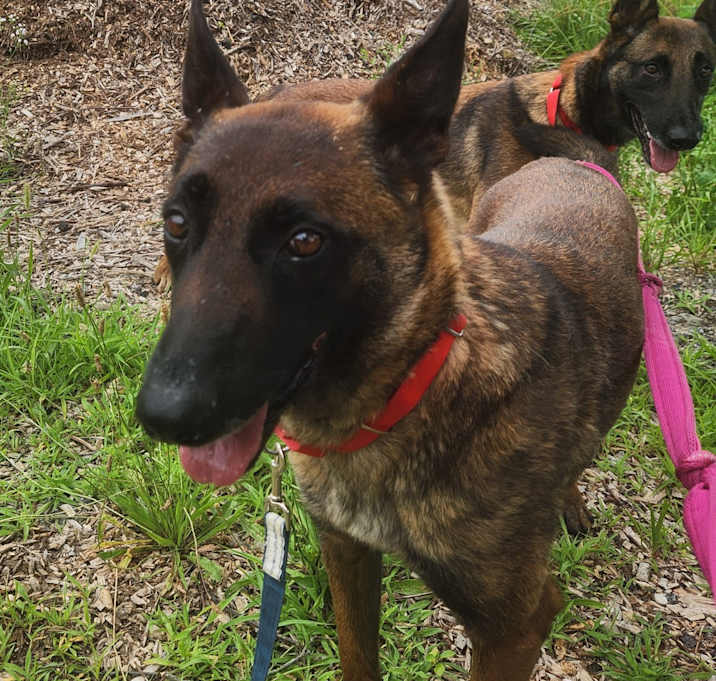 Photo of Lexi