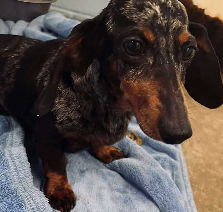 Photo of Britches