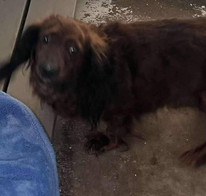 Photo of Nellie
