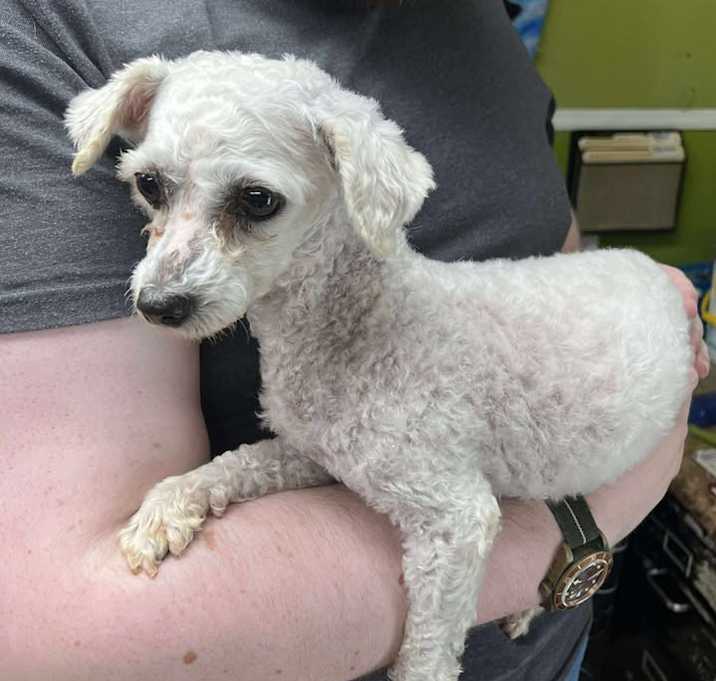 Photo of Penelope