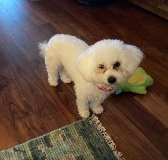 Photo of Abby