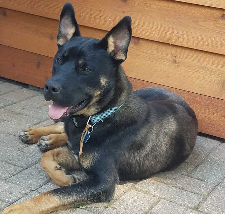 Photo of JAX