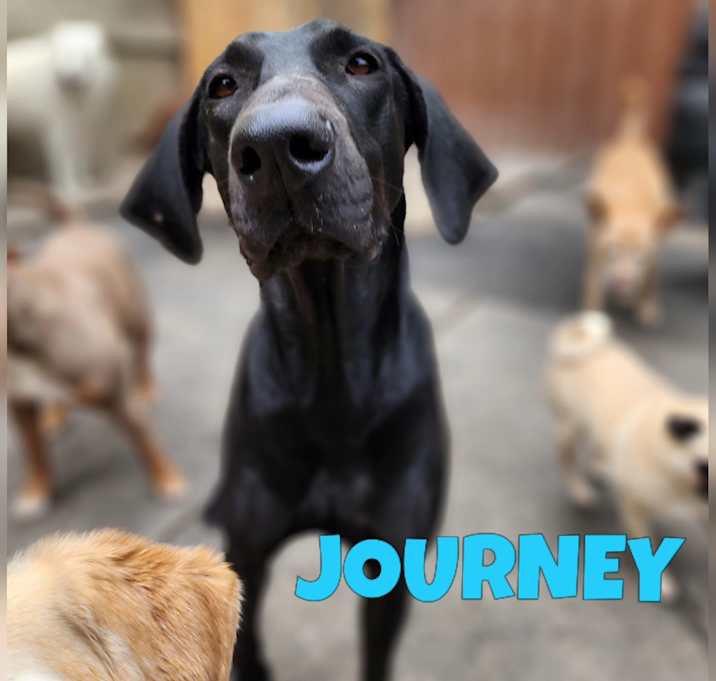 Photo of Journey