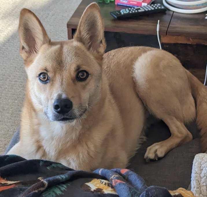 Photo of Bucky